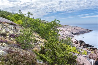 Bizarre coastal landscape of granite rocks on the Blue Maiden (Bla Jungfrun), an island and