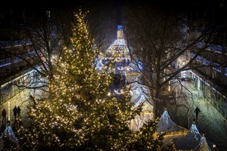 Christmas market on the main street in Dresden Neustadt, Dresden, Saxony, Germany, Europe