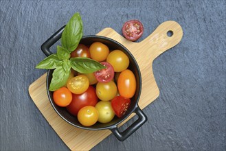 Various cherry tomatoes in pots, cherry tomato