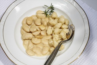 Swabian cuisine, broad beans with yeast dumplings, broad beans, horse beans, fava beans, savoury,