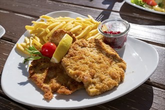 Wiener Schnitzel, Food, Gasthaus Märznhof, Nantesbuch, Penzberg, Upper Bavaria, Bavaria, Germany,