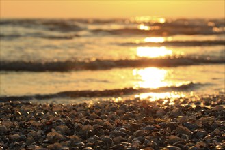 Morning atmosphere on the beach of the Baltic Sea, September, Usedom, Mecklenburg-Western