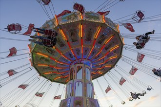 A colourfully illuminated carousel with swinging seats against an evening sky, wave flight, chain