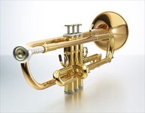 Trumpet in front of a white background, studio shot