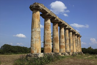 Metaponto, Metaponte, Doric hera temple, Tavole Palatine, Basilicata, Italy, Europe