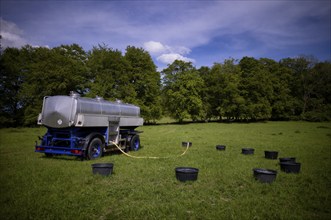 Water barrel wagon, water tank, mobile, for sheep, flock of sheep, Römerstein, former military