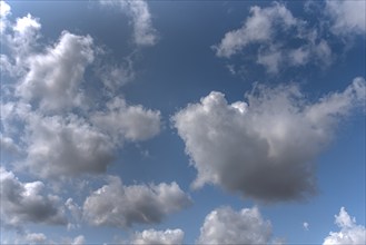 Small rain clouds (Nimbostratu), Mecklenburg-Western Pomerania, Germany, Europe