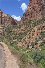 Rugged rocky mountainside in Zion National Park, Utah