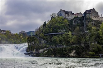 Rhine Falls and the Castle Laufen at Neuhausen in Schaffhausen, Switzerland, Europe