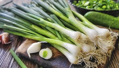 Vegetable, spring onion or spring onion, also known as winter onion, Allium fistulosum