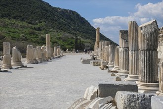 Ruins of Ephesus, ancient archaeological site, Izmir province, Turkey, Asia