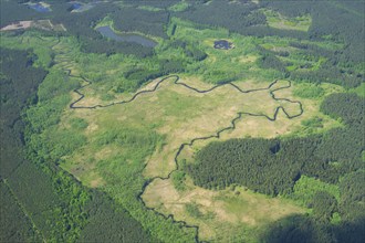 Aerial view, river, stream, forest, clearing, wildlife trails, natural, meandering, Poland, Europe