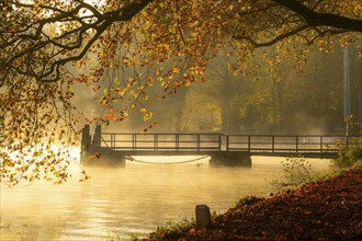 Sunrise, autumn atmosphere at Lake Baldeney, boat landing stage at Haus Scheppen, in Essen, North