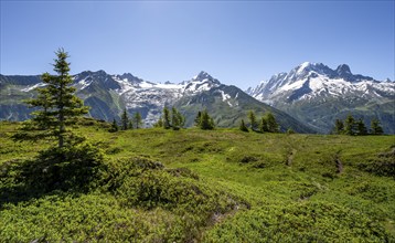 Mountain panorama with glaciated mountain peaks, Aiguille Verte, hike to Aiguillette des Posettes,