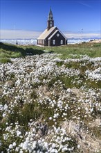 Church in front of icebergs and blue sky, cotton grass, summer, Zion's Church, Jakobshavn Glacier