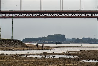 Rhine at Emmerich, extremely low water, Rhine level at 0 cm, falling trend, Rhine bridge B220,