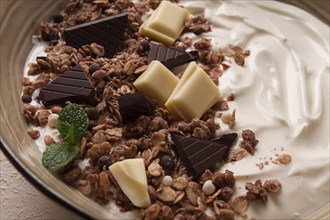 Yogurt with chocolate muesli, breakfast, close-up, fork on top, no people