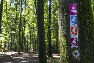 Hiking trail Hohe Mark Steig, hiking sign, forest area The Haard, in the northern Ruhr area,