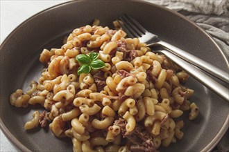 Pasta with stewed meat, pasta in the navy, horns, homemade, no people