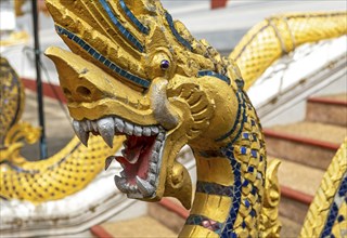 Naga deities at Wat Nong Sikhounmuang, Luang Prabang, Laos, Asia