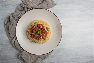 Spaghetti Bolognese, top view, close-up, no people, homemade