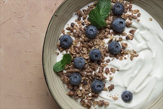 Yogurt with chocolate muesli, with berries, blueberries, breakfast, close-up, fork on top, no