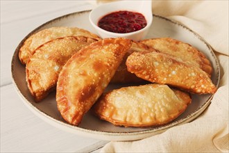 Fried chebureks, close-up, on a light background, no people