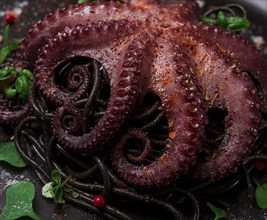 Octopus with black spaghetti, pasta, spices and herbs, top view, no people