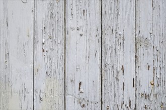 Old wooden door with peeling paint, texture, background, Palatinate, Rhineland-Palatinate, Germany,