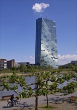 Mainpromenade with the ECB European Central Bank on the River Main, Frankfurt am Main, Hesse,