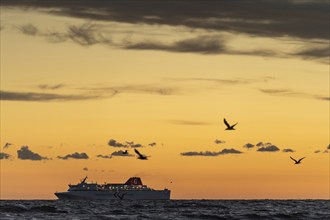 Gotland ferry accompanied by seagulls sailing towards the Hanseatic town of Visby after sunset,