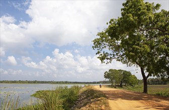 Moped riding on a sandy track at the Debara Wewa reservoir, Tissamaharama, Southern Province, Sri