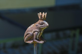 Figure of the Frog King, at Haigerloch Castle, replica of a frog on a stick, garden ornament,