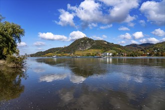 Drachenfels, a mountain in the Siebengebirge on the Rhine between Bad Honnef and Königswinter, with