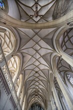 Cross vault of the late Gothic St John's Church, Kitzingen, Lower Franconia, Bavaria, Germany,