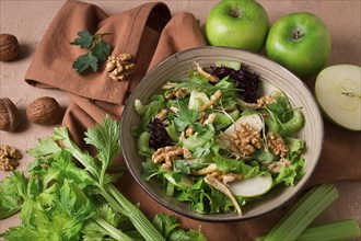 Fresh, Waldorf salad, celery stalk with chicken, apple and walnut, grapes, herbs, homemade, no