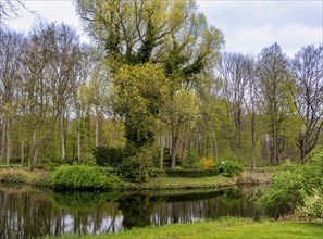 Small pond in the Großer Tiergarten, Berlin, Germany, Europe