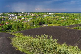 View from the slagheap Rungenberg over Gelsenkirchen, in north direction, district Buer, town hall