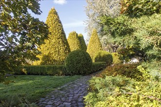 Cottage garden with topiary, hedges, trimmed bushes. Modern landscape design