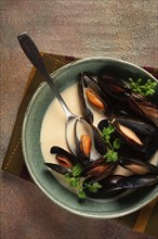 Mussels in shells, in creamy garlic sauce, mussels in bechamel sauce, homemade, no people