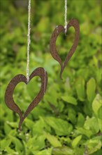 Two metal hearts on a string, North Rhine-Westphalia, Germany, Europe