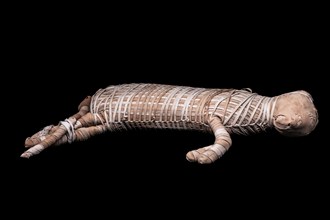 Mummified cat from the Ptolemaic period from the exhibition: Ramses the Great and the Gold of the