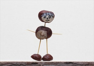 Funny chestnut figure in front of a white wall, North Rhine-Westphalia, Germany, Europe