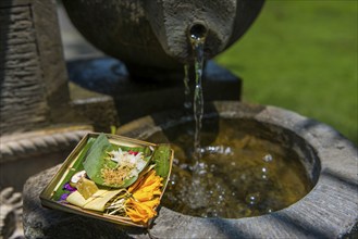 Offering, Hinduism, religion, religious, faith, Asian, world religion, tradition, traditional,