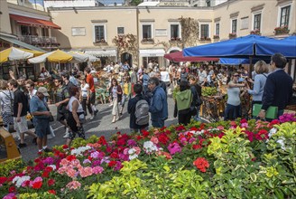 Folk life in the square in the center of Capri town, island of Capri, Campania, Italy, Europe