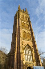 Golden afternoon winter sunshine, tower of minster church of Saint Magdalene, Taunton, Somerset,