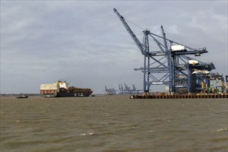 MSC Vita container ship arriving at Port of Felixstowe, Suffolk, England, UK