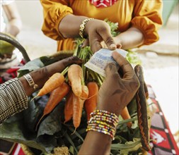 Sale of vegetables in Beo-Noree, 04.03.2024.photographed on behalf of the Federal Ministry for