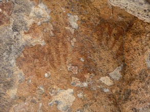 Paredon con pinturas, prehistoric paintings at the walls of a cave, Park Patagonia section