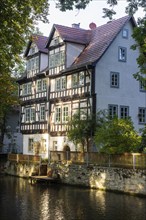 Houses on the Kreuzsand, Gera River, Erfurt, Thuringia, Germany, Europe